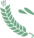 leaf1