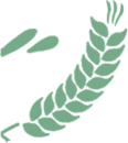 leaf2